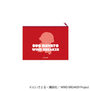 [Pre-order] Hayato Suo  - WIND BREAKER Pastel Pop Flat Pouch