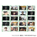 [Pre-order] WIND BREAKER - Memorial Clear Card Collection
