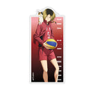 [Pre-order] Haikyuu!! - Acrylic Magnet Progress Ver.