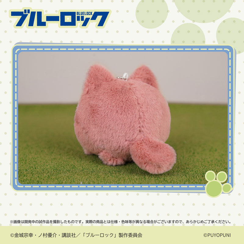 [Pre-order] Blue Lock - PUYOPUNI Series 10cm Nyanko Dango Plush Mascot