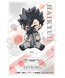 [Pre-order] Tetsuro Kuroo - Haikyuu!! Hide and Seek Acrylic Stand
