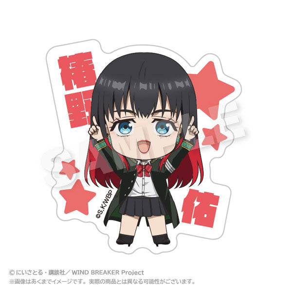 [Pre-order] Tasuku Tsubakino - WIND BREAKER Point Name Badge