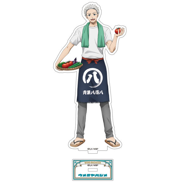 [Pre-order] Hajime Umemiya Amusement Park ver. - WIND BREAKER New Illustration Acrylic Stand