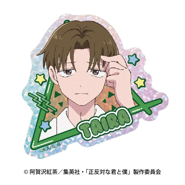 [Pre-order] Taira - You and I are Polar Opposites Shiny Sticker