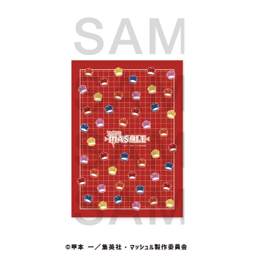 [Pre-order] MASHLE - A4 Clear File