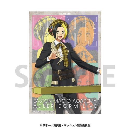 [Pre-order] MASHLE - Bromide (Glossy Card) Set