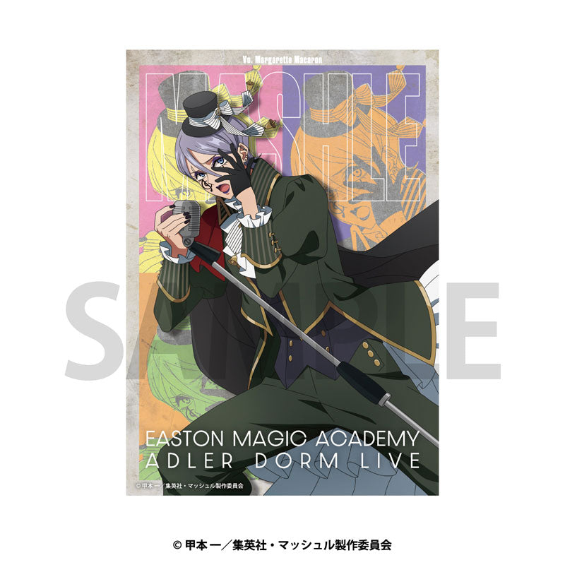 [Pre-order] MASHLE - Bromide (Glossy Card) Set