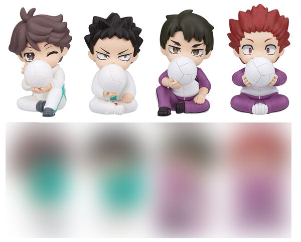 [Pre-order] Haikyuu!! - PERIHAPI! Hide & Seek Aoba Johsai / Shiratorizawa Academy BLIND PACK