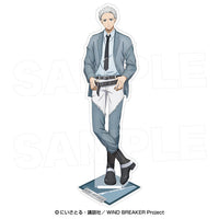 [Pre-order] WIND BREAKER - Acrylic Stand [Cool Denim]