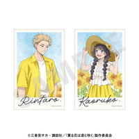 [Pre-order] The Fragrant Flower Blooms with Dignity - Visual Card Set Sunflower Coordinate ver.
