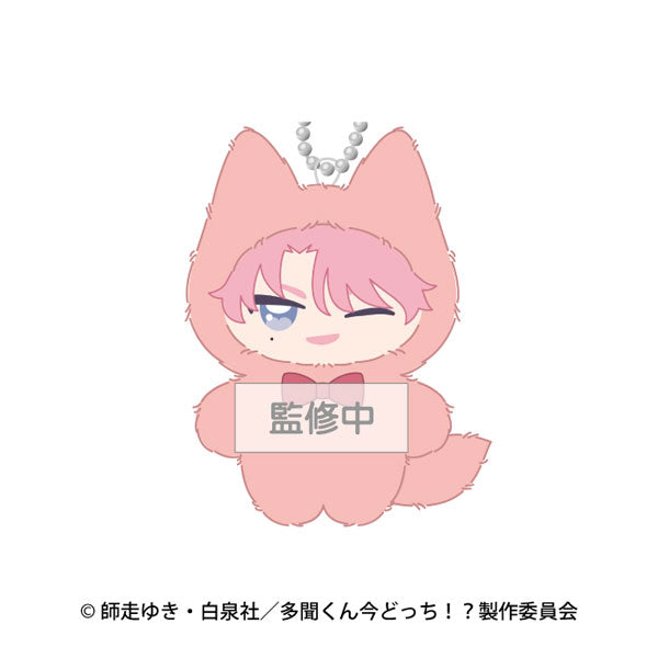 Tamon Fukuhara A - Tamon's B-Side Chimikemo Mascot