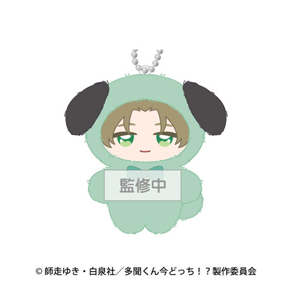 Keito Tachibana - Tamon's B-Side Chimikemo Mascot