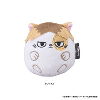 Kenma Cat - Haikyuu!! NuiKoron