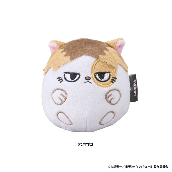 Kenma Cat - Haikyuu!! NuiKoron