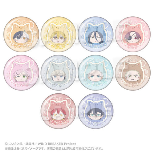 WIND BREAKER - Trading Marumates Tin Badge Pastel ver. BLIND PACK