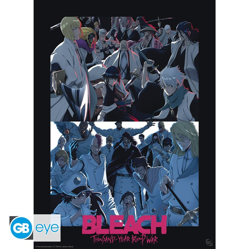 Bleach TYBW - Shinigami vs Quincy Poster