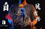 Load image into Gallery viewer, Self-Explosion Majin Vegeta-Dragon Ball
