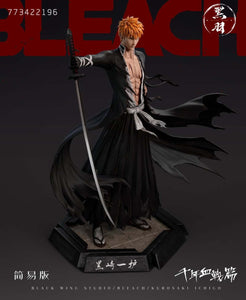 1/6 Scale Kurosaki ichigo-Bleach