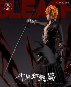 1/6 Scale Kurosaki ichigo-Bleach