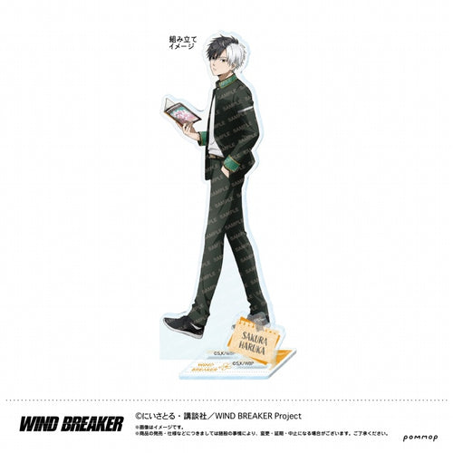 Haruka Sakura - WIND BREAKER Acrylic Stand -Study Session on the Rooftop-