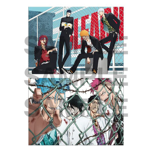 ~Exclusive~ BLEACH THE HIGHSCHOOL WARFARE Aniplex Poster