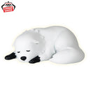 [Pre-Order] Bond Forger - Spy X Family Goodnight Room Light